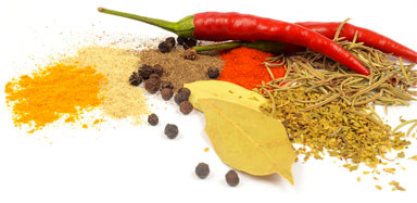originals-spices-riega