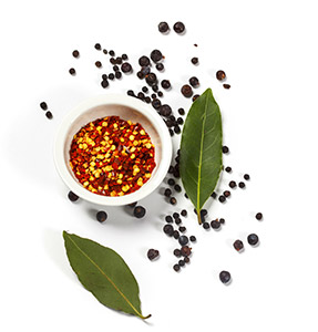 spices-contact-riega-foods
